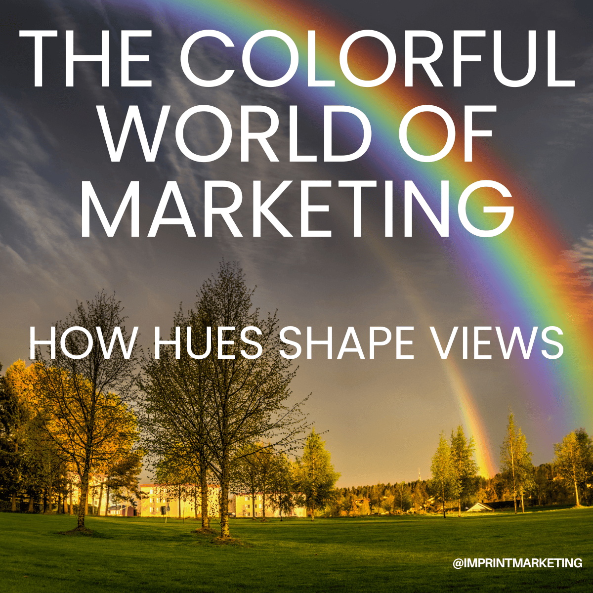 The Colorful World of Marketing: How Hues Shape Views